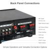 Dulcet DC-A30X Back Panel Connections Image